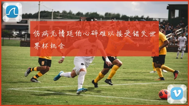伤病无情廷伯心碎难以接受错失世界杯机会